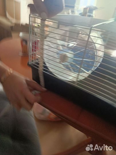 Клетка для грызунов