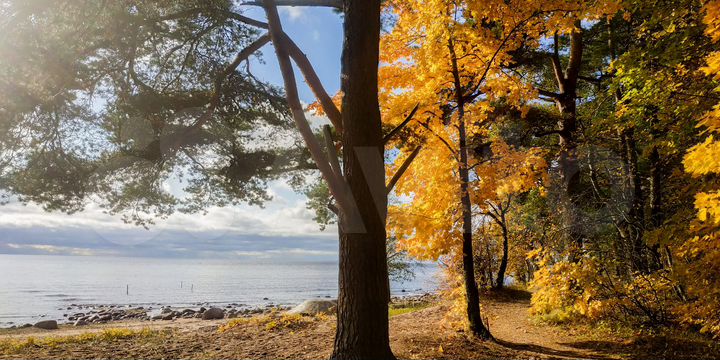 Коттедж 65 м² на участке 50 сот.