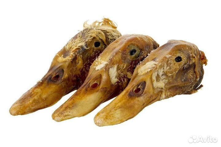 Утиные головы для собак