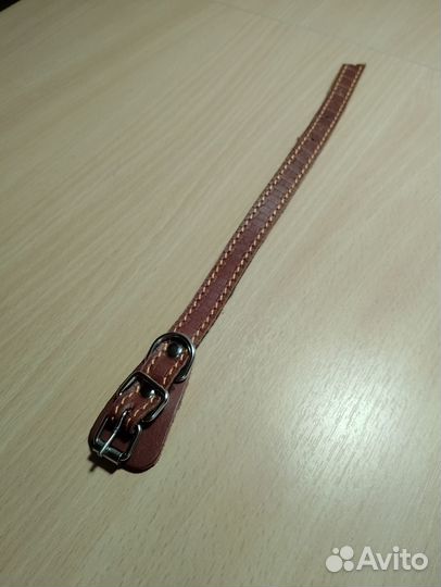 Ошейник для маленькой собаки