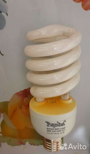 Уф лампа для здоровья попугая