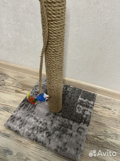 Когтеточка для котят