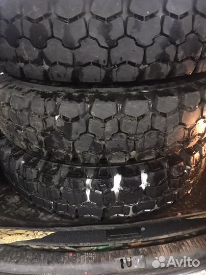 Резина на газ 53/3307/3309/паз