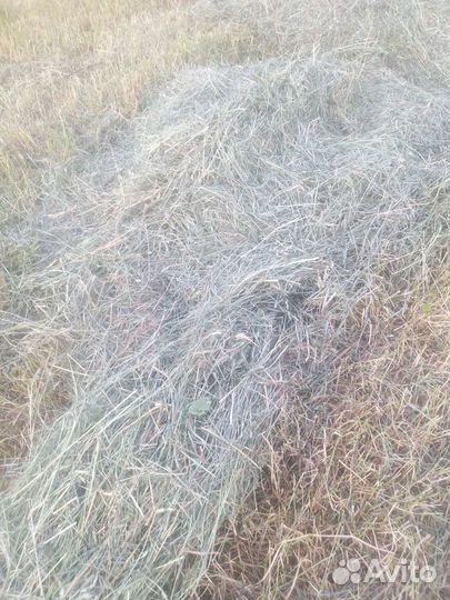 Сено в рулонах