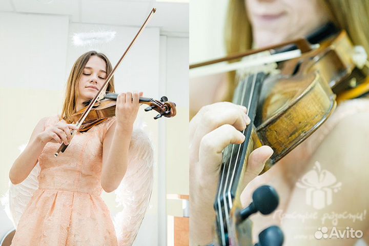 Музыканты, Живая музыка на праздник, мероприятие