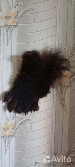 Шкурка животного с когтями