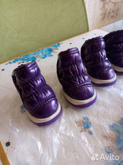 Ботинки для маленьких собак