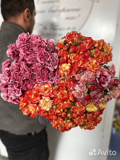 Цветы оптом Гвоздика оптом