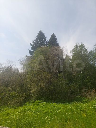 Участок 25 сот. (ИЖС)