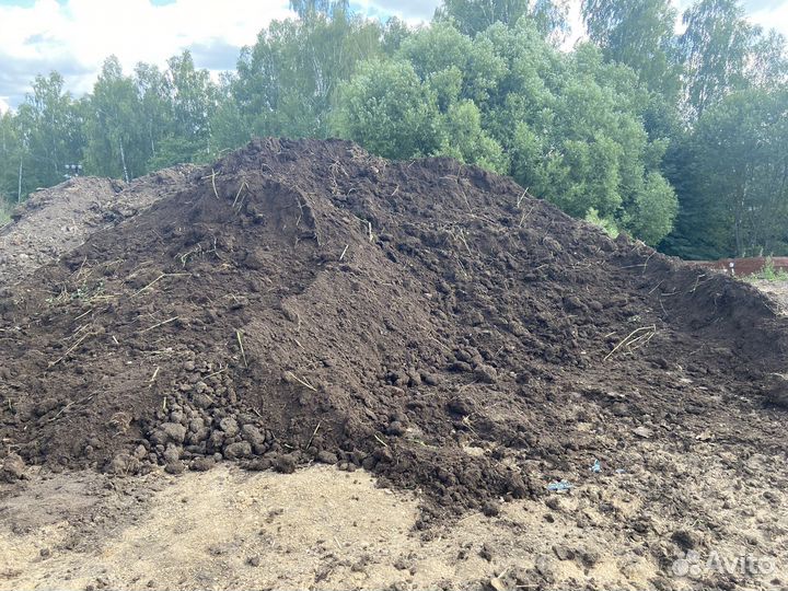 Продаю навоз