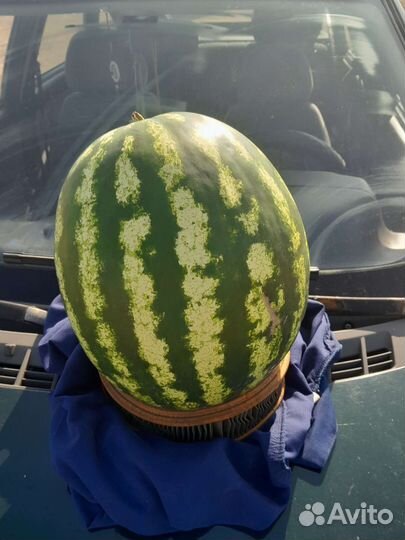 Продукты питания