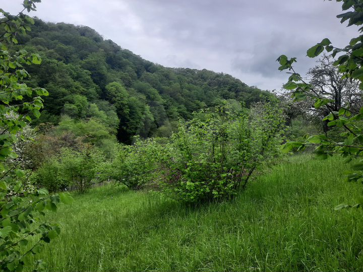 Участок 4 сот. (ИЖС)