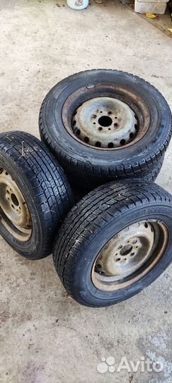 Dunlop Graspic DS3 175/70 R13