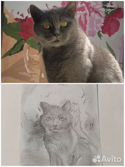 Нарисую ваших питомцев