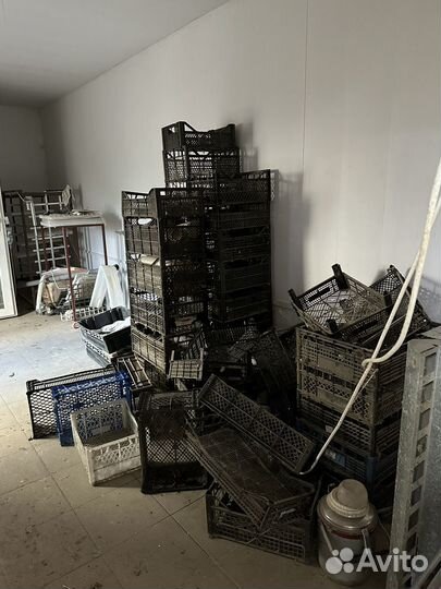 Пластиковые ящики для овощей бу