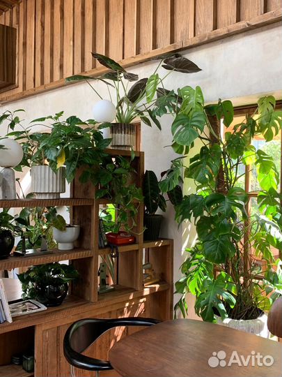 Озеленение и благоустройство территорий