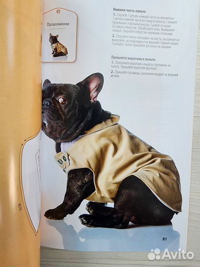 Шьём одежду и аксессуары для собак и кошек