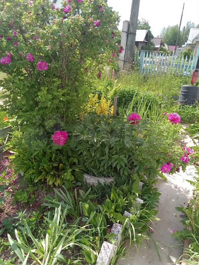 Дом 408 м² на участке 4 сот.