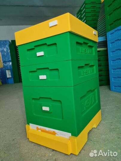 Улья Лысонь Беларусь