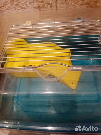 Экзотерариум для ящериц свинок