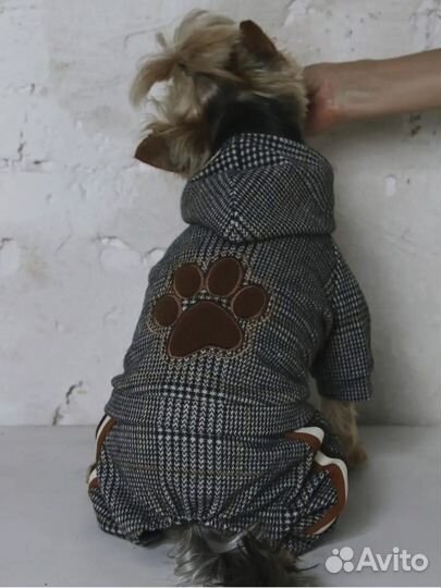 Комбинезон для маленькой собаки