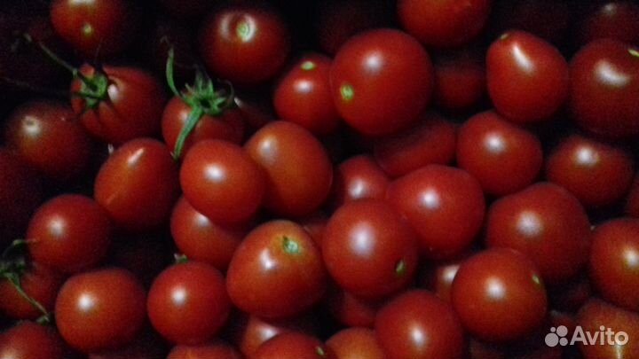 Помидоры
