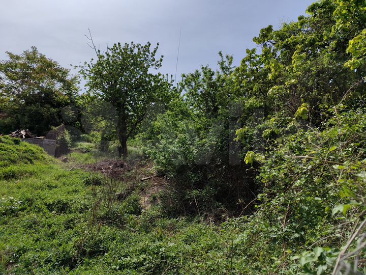 Участок 6,36 га (СНТ, ДНП)