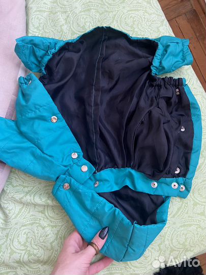 Одежда для собак мелких пород