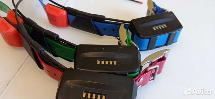 Ошейник garmin t5 USA Америка б/у