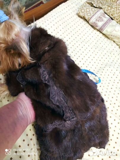 Шуба из меха норки для питомца