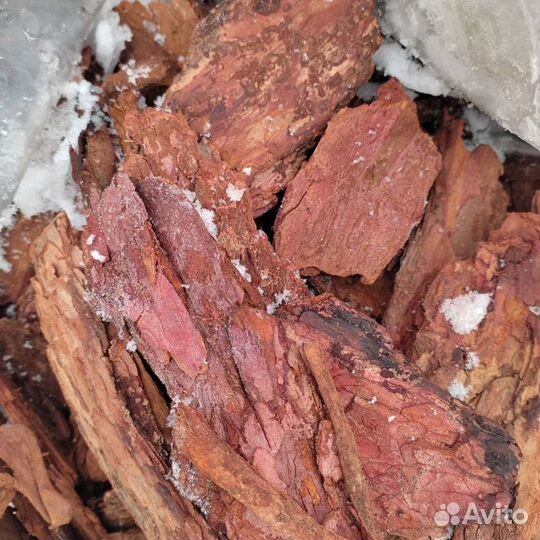 Мульча Кора лиственницы Кора сосны Щепа