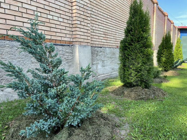 Дом 250 м² на участке 48 сот.