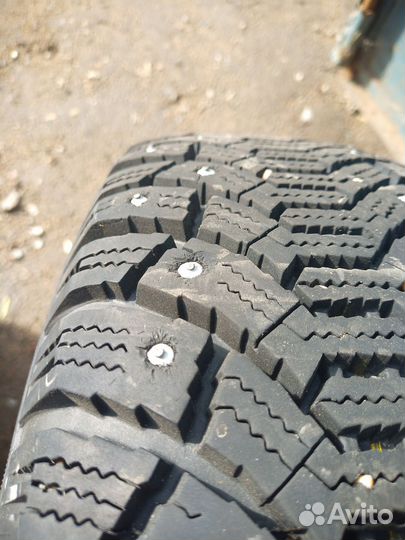 Tunga Nordway 185/65 R15