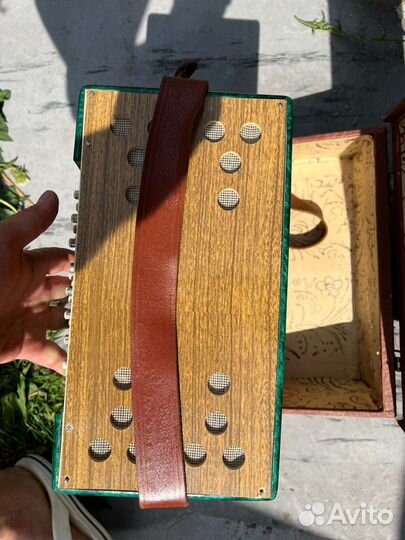 Гармонь Маричка