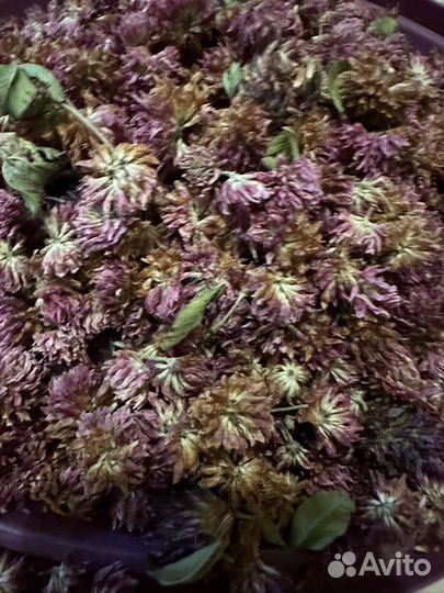 Зверобой, иван чай,кукушкин хлеб, чебрец