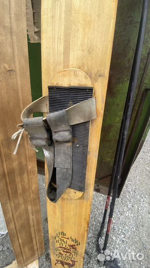 Лыжи охотничьи