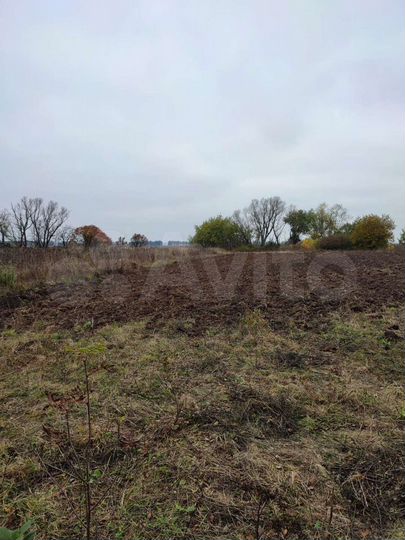 Участок 50 сот. (ИЖС)