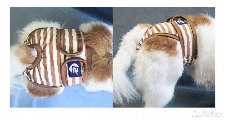 Трусики-шорты для собак