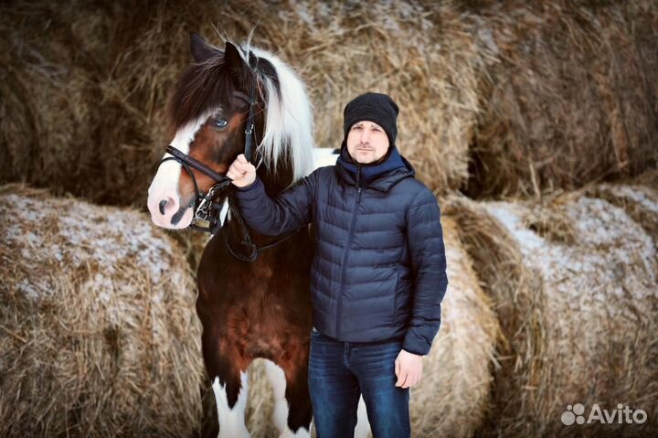 Фотосессия с лошадью