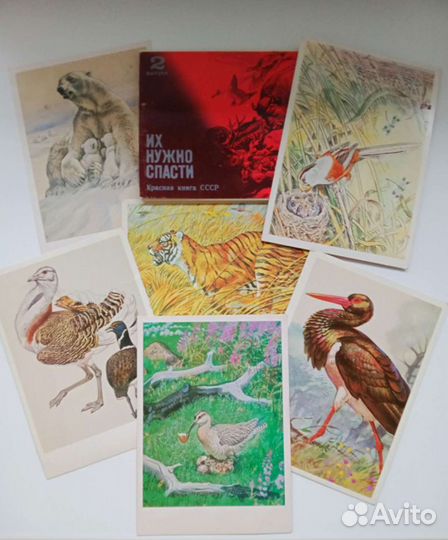 Открытки редкие