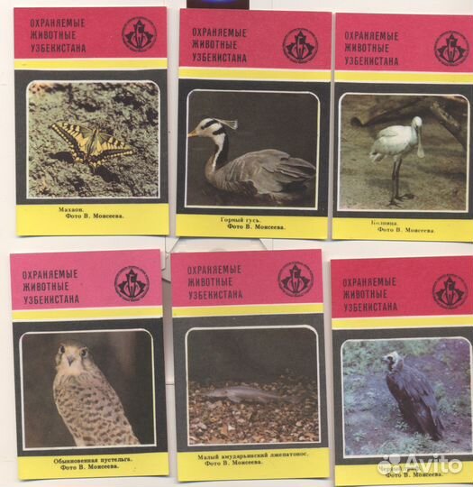 Календарики 