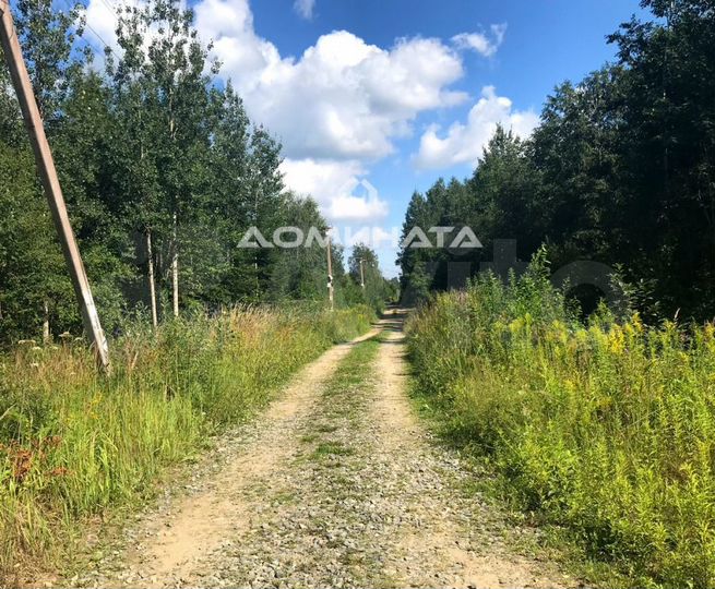 Участок 6 сот. (СНТ, ДНП)
