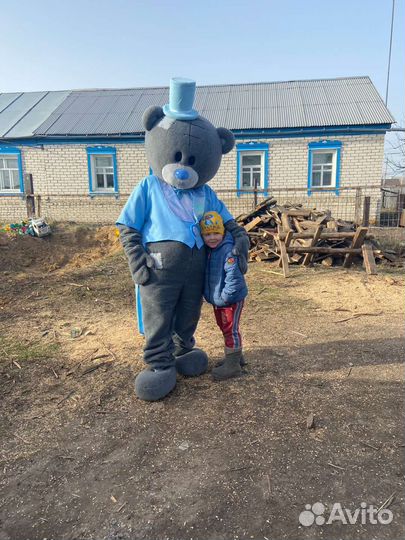 Мишка тедди