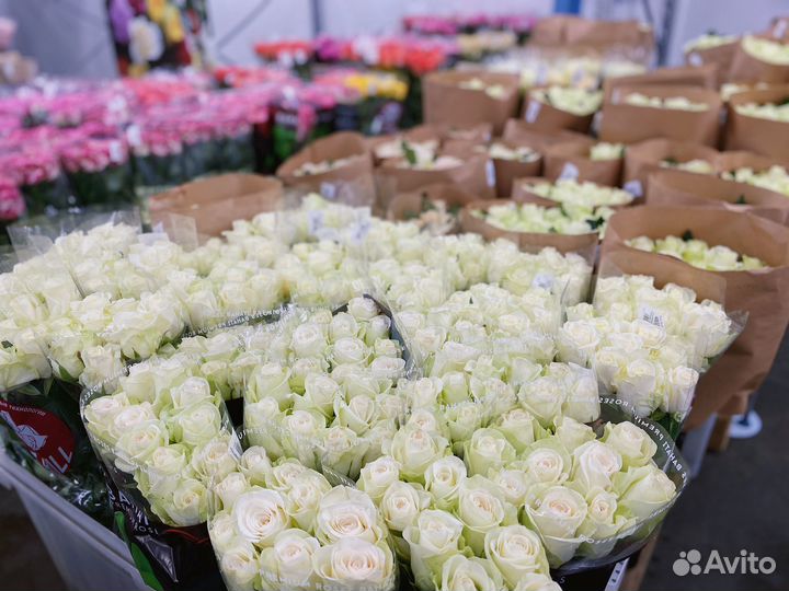 Менеджер по оптовым продажам (цветы)