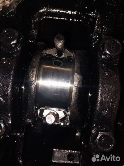 Шорт блок 4D56