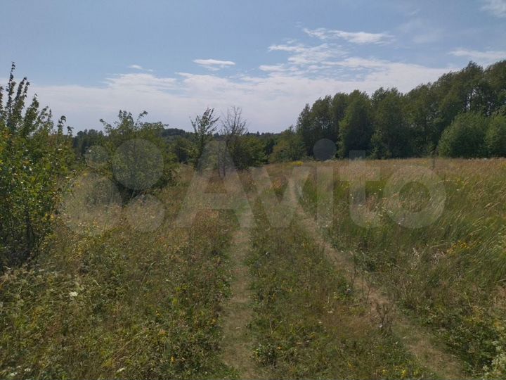 Участок 1,3 га (ИЖС)