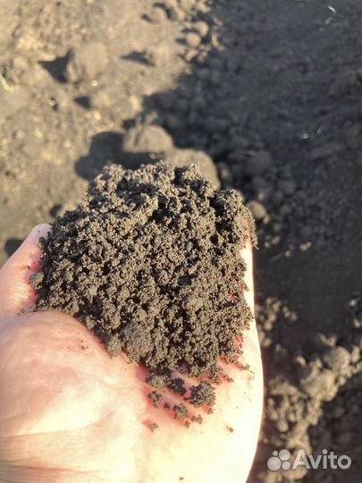 Земля плодородная