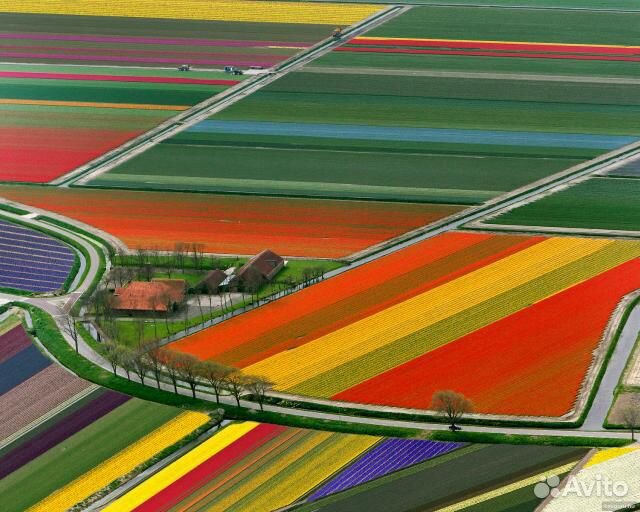 Приглашаем инвестора в сеть загородных экопосёлков