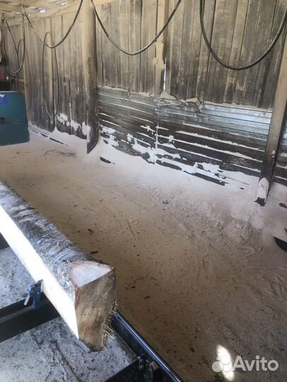 Опил Липа, Осина, Берёза