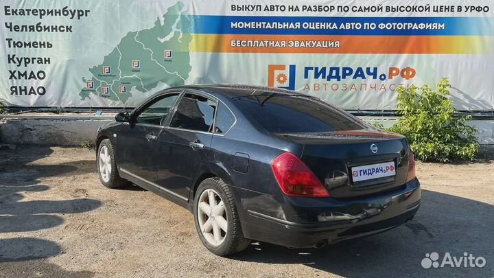 Обшивка двери задней левой Nissan Teana (J31) 8290